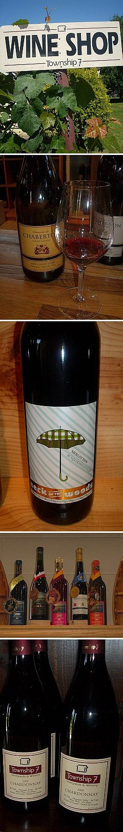 fraser valley winery association, township 7, chardonnay, neck of the woods, zweigelt, chamberton, gamay noir, bc, okanagan, wine bottles
