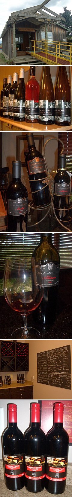 Mt Lehman and Blackwood Lane and Lotusland wineries fraser valley