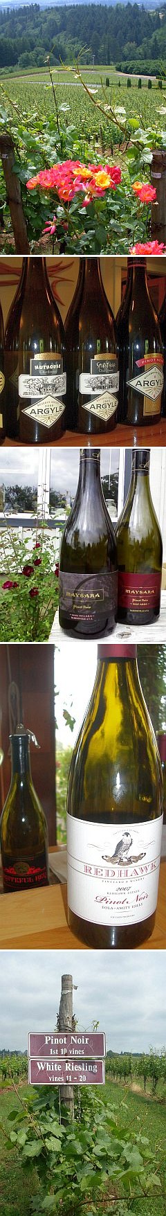 Archery Summit vineyard, Argyle wines, maysara wines, Redhawk wines, Sokol Blosser vineyard