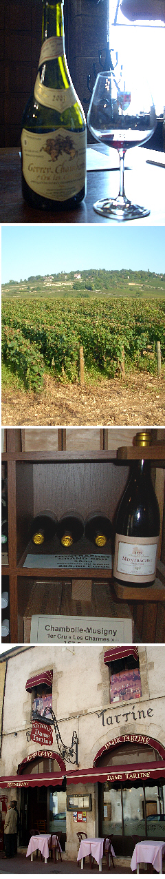 Philippe Leclerc, Gevry Chambertin, Burgundy, Côte d'Or, pinot noir grapes, Dame Tartine restaurant
